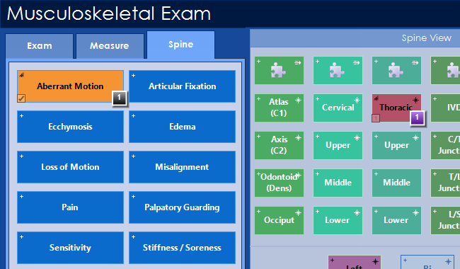 Musculoskeletal Entry