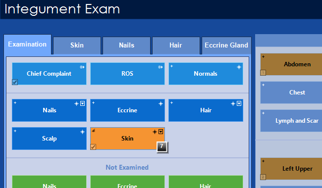 Constitutional Exam