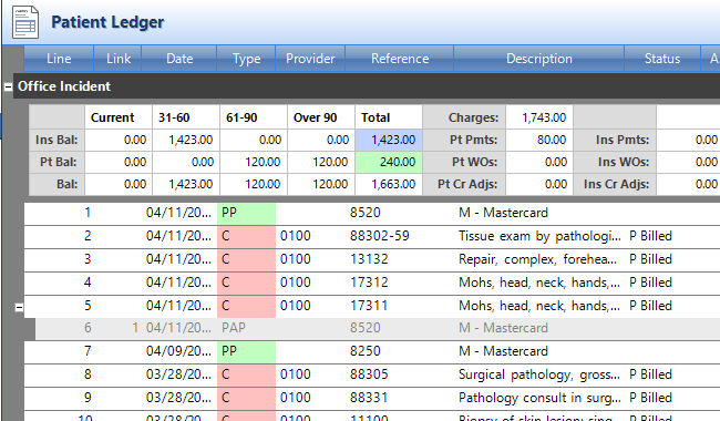 Patient Ledger