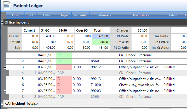 Patient Ledger